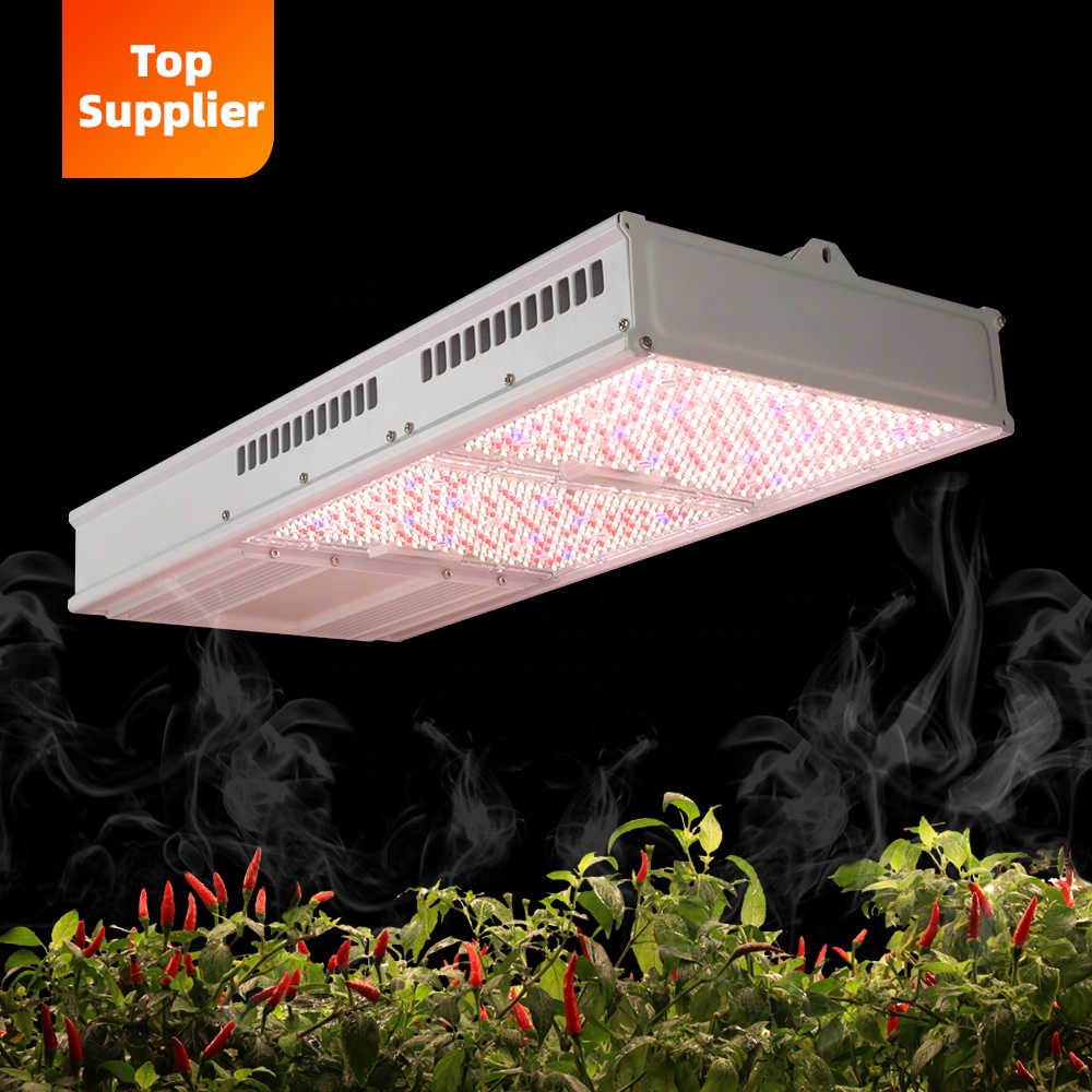 Kostengünstige 600W 800W Topli – Plant Grow Light Full Spectrum Bewertung und Preis