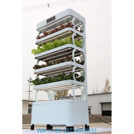 Arming Home Hydroponic Growing – Smart Garden System Bewertung und Preis