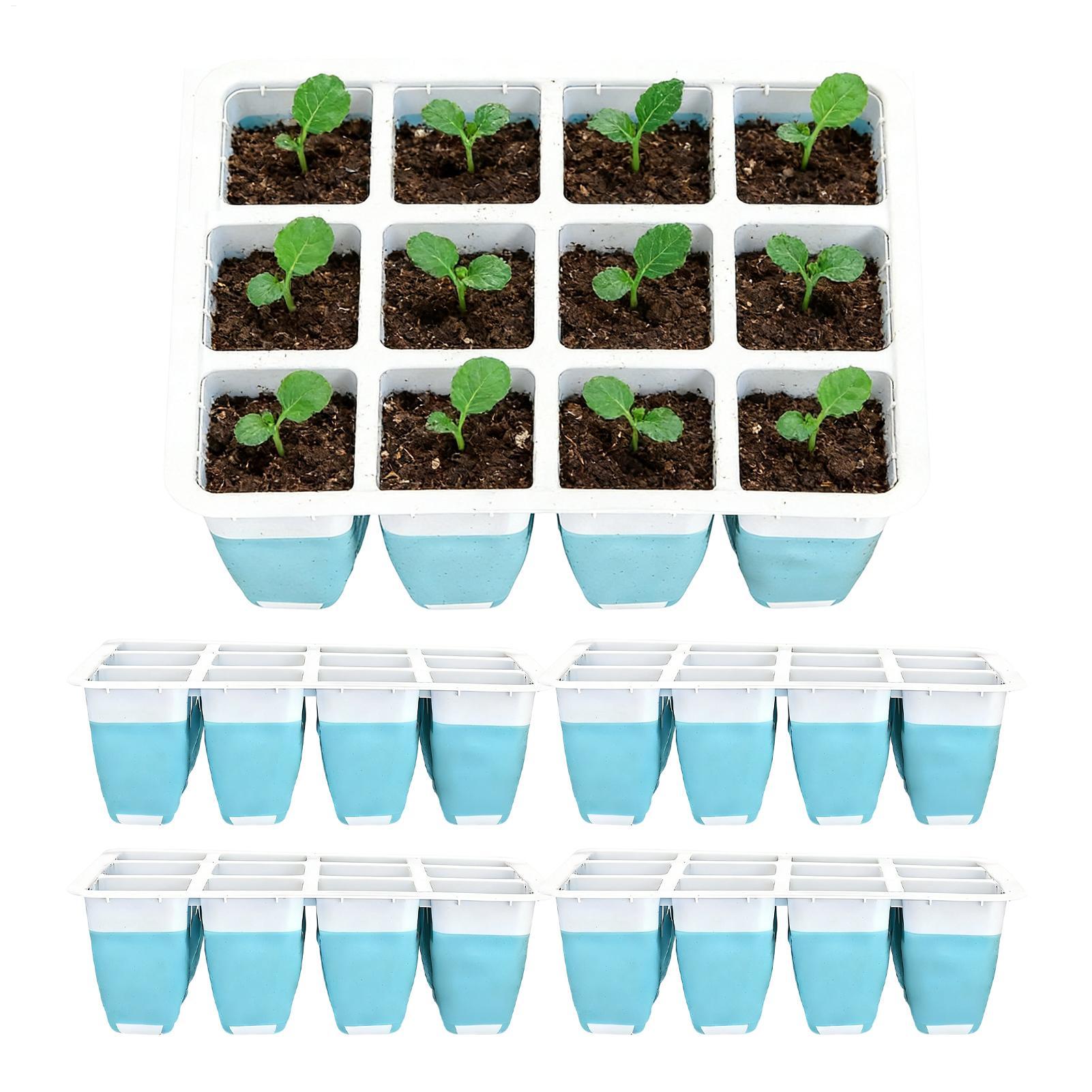 5er-Pack Silikon-Anzuchtschale – Indoor Garden Kit Bewertung und Preis