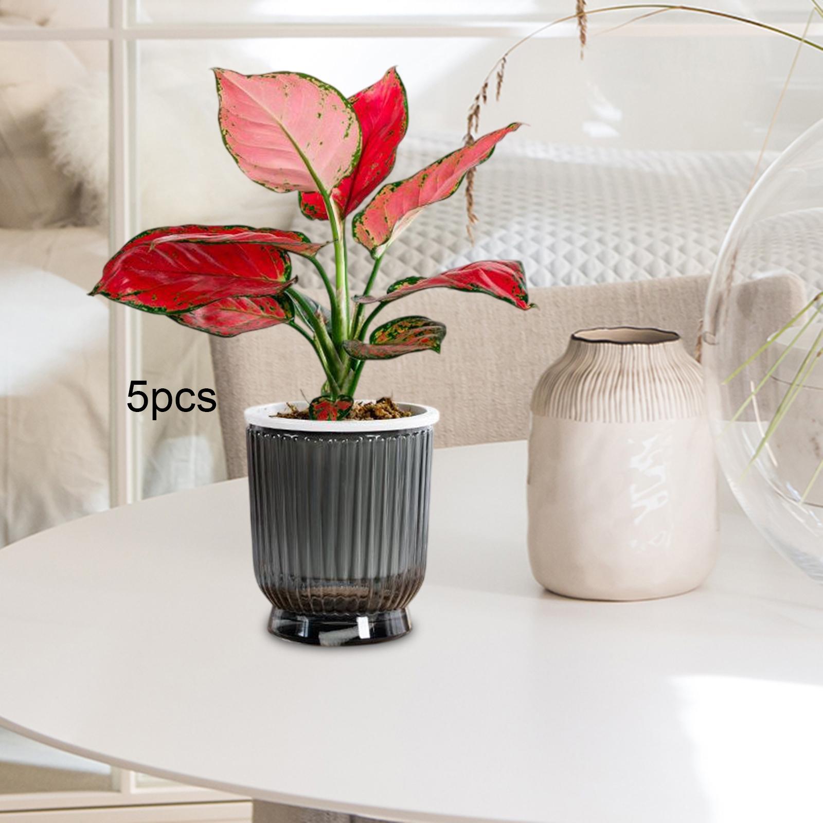 Selbstbewässernde Pflanzgefäße – Self Watering Planter Bewertung und Preis