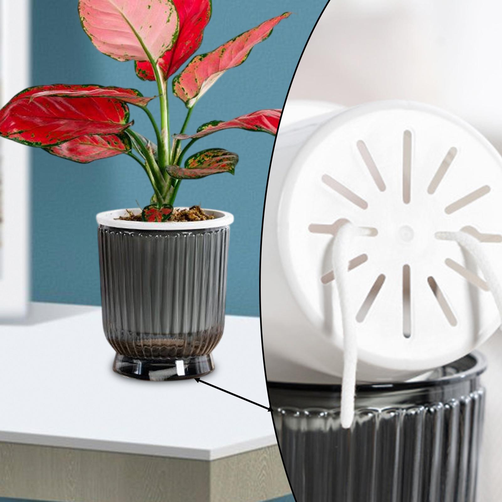 Selbstbewässernde Pflanzgefäße – Self Watering Planter Bewertung und Preis