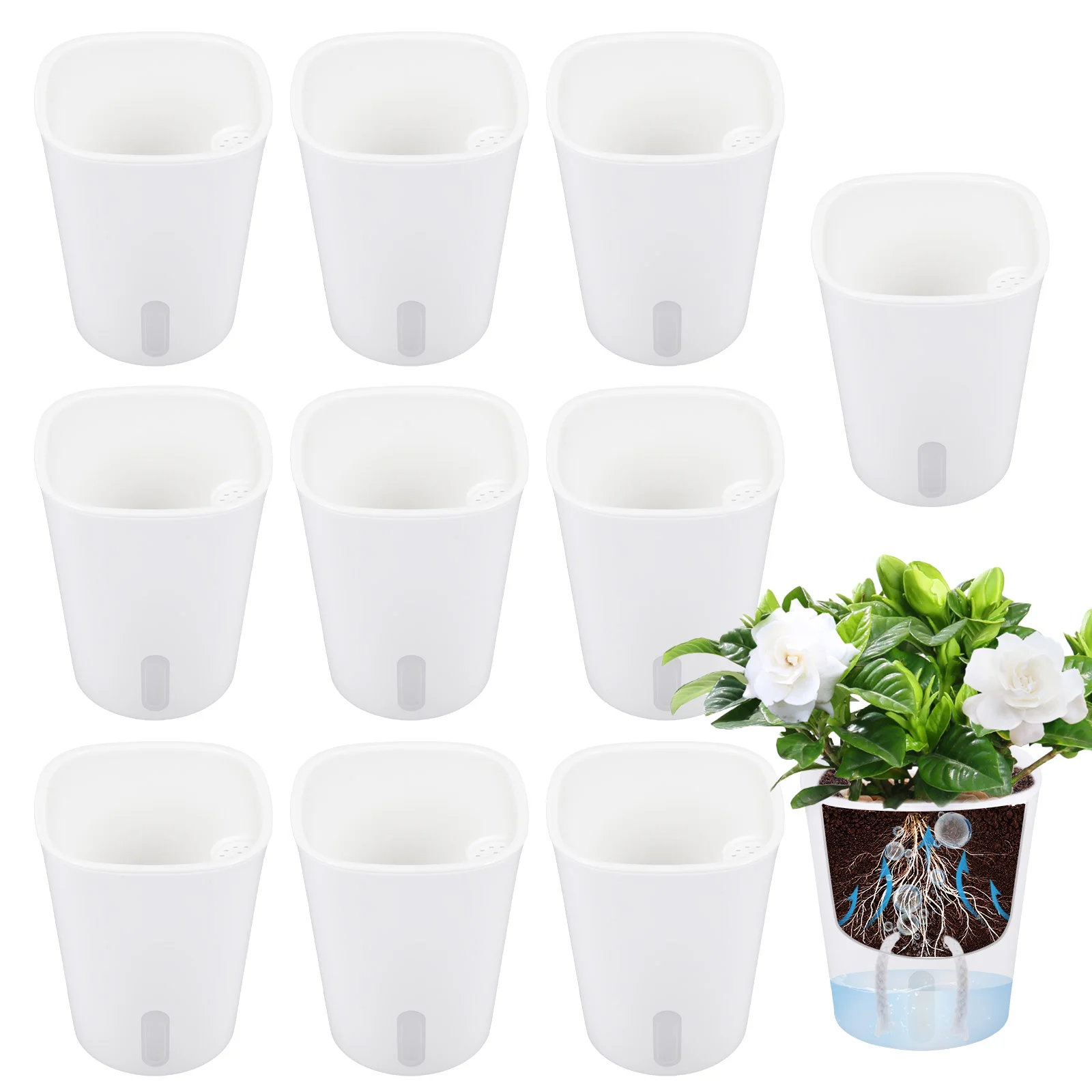 10 Stück selbstbewässernde Blu – Hydroponic Grow Pod Bewertung und Preis