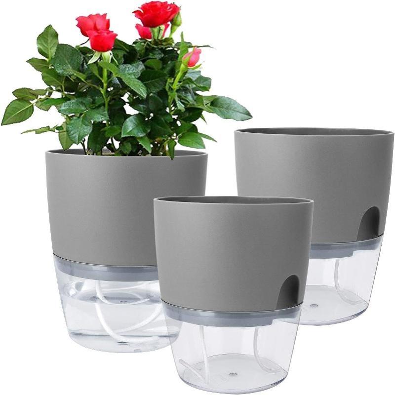 1 Stück Transparenter Pflanzen – Hydroponic Grow Pod Bewertung und Preis