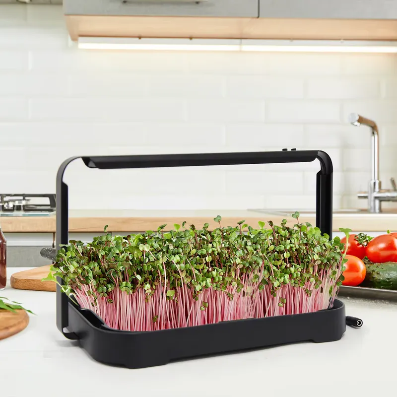 Hydroponisches Anzuchtsystem f – Indoor Garden Kit Bewertung und Preis
